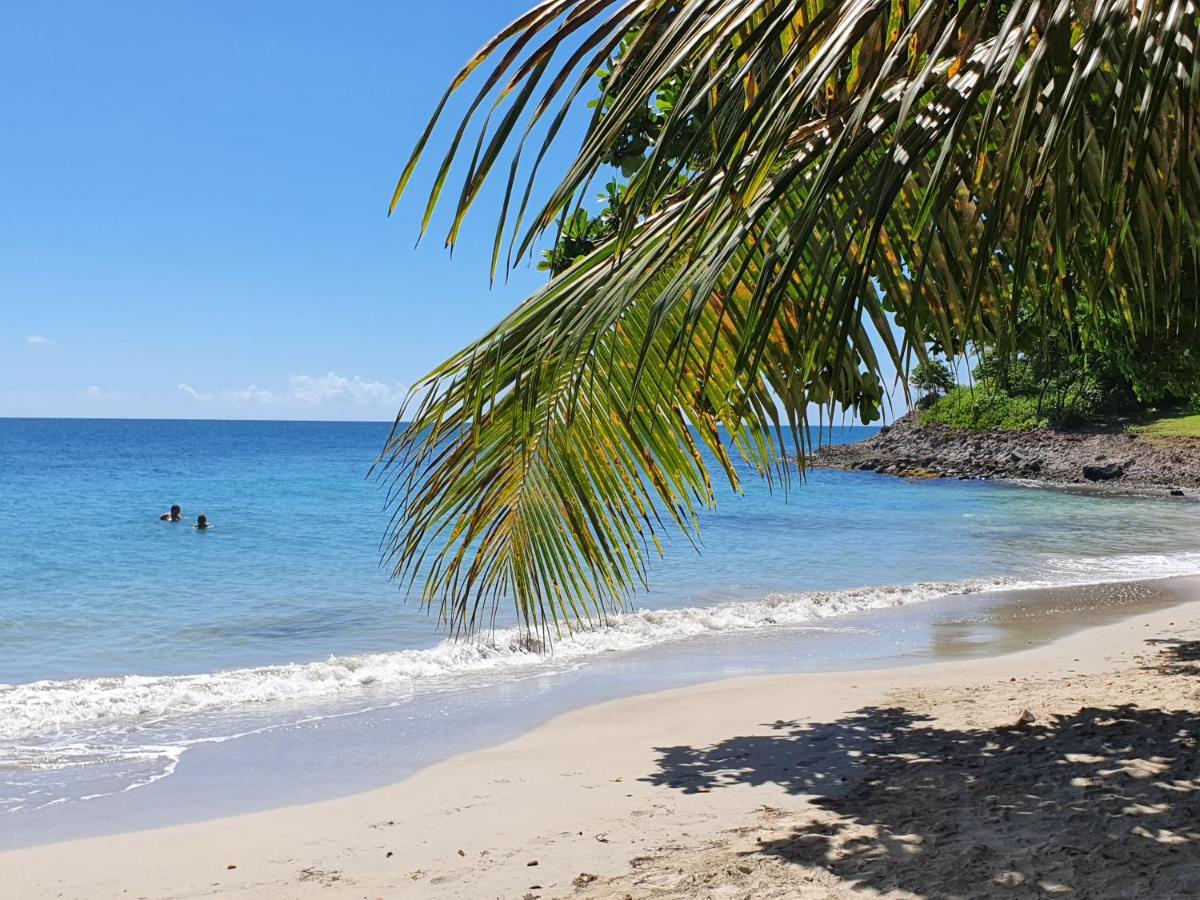 Ti Oasis Trinidad, Studio Vue Mer A Pierre & Vacances Сент-Люс Экстерьер фото