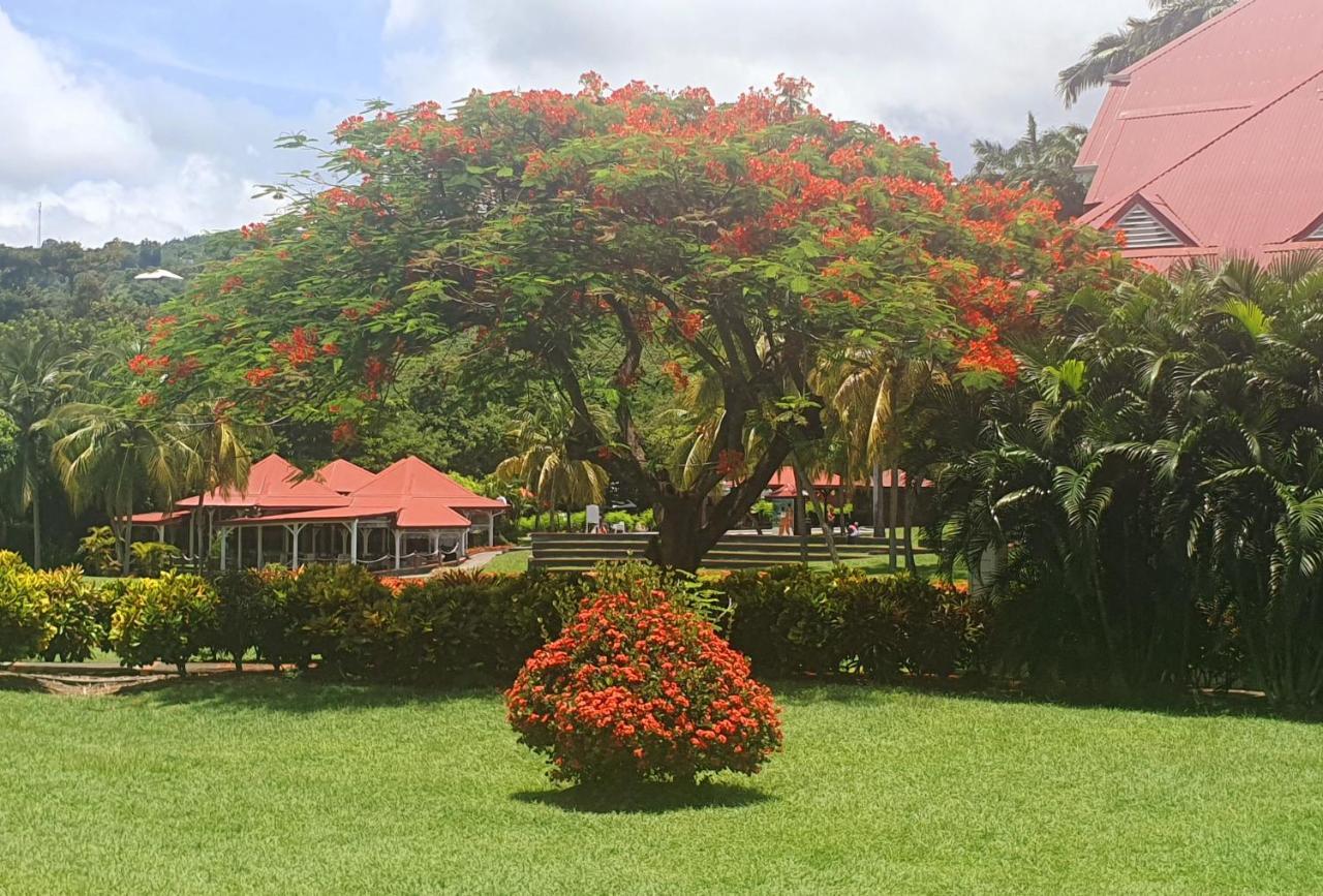 Ti Oasis Trinidad, Studio Vue Mer A Pierre & Vacances Сент-Люс Экстерьер фото