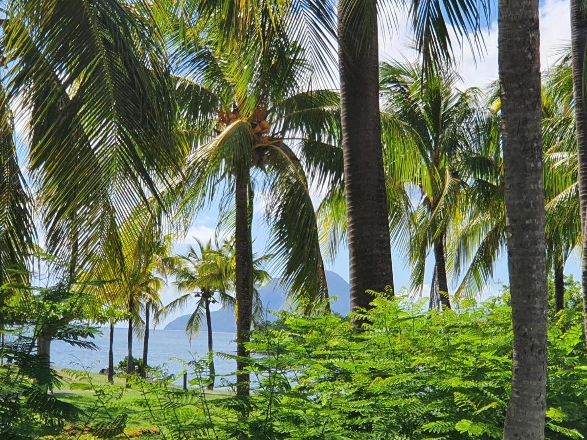 Ti Oasis Trinidad, Studio Vue Mer A Pierre & Vacances Сент-Люс Экстерьер фото
